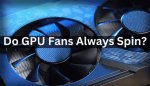 A Comprehensive Guide for Fans