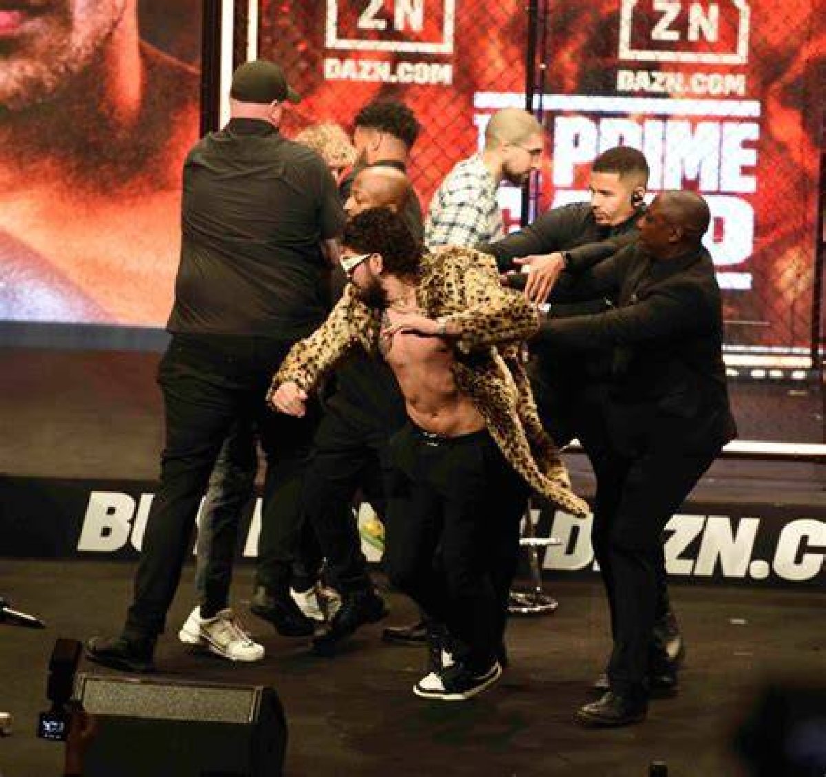 Dillon Danis Logan You Wild for This: Exploring the Controversial Collaboration