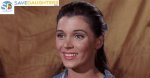 Donna Baccala Age, Birthday, Wikipedia, Who, Nationality, Biography