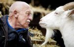 Dr. Pol |