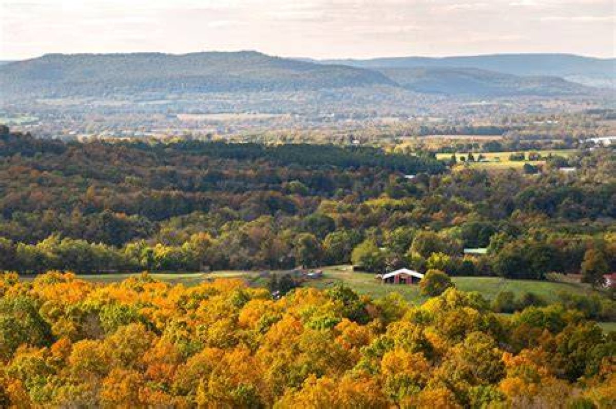 Explore Skip the Games Arkansas