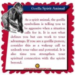 Gorilla Spirit Animal Totem Meaning: Social Intelligence Helps