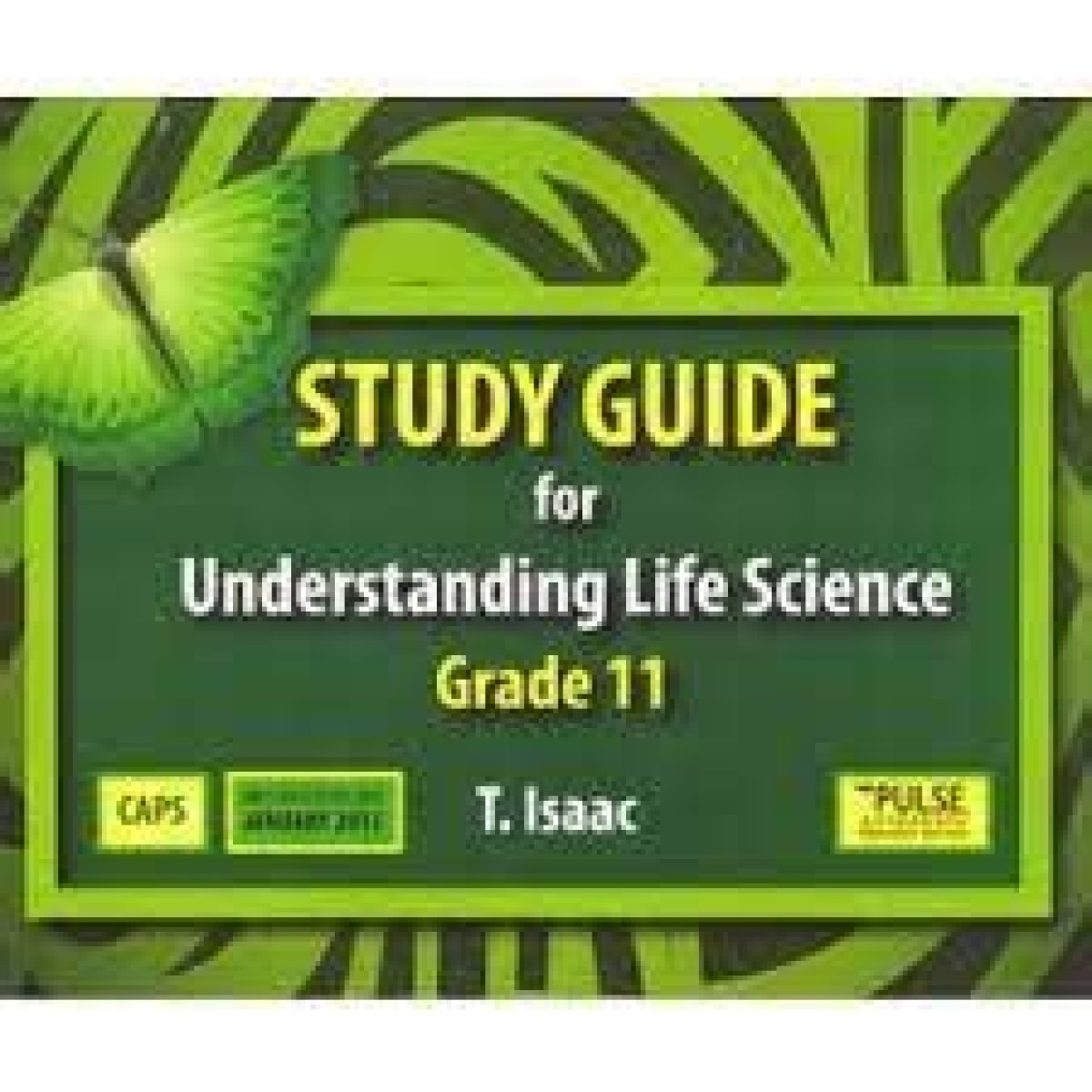 Guide to Understanding the Life of Breanne Palmerini