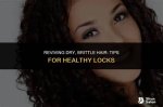 Reviving Dry Brittle Hair: Discover the Ultimate Shampoo Solution