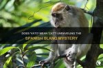 Uncover the Secrets of "Vato" Spanish Slang: a Linguistic Journey