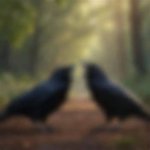 Uncover the Striking Distinctions Between Crows and Ravens